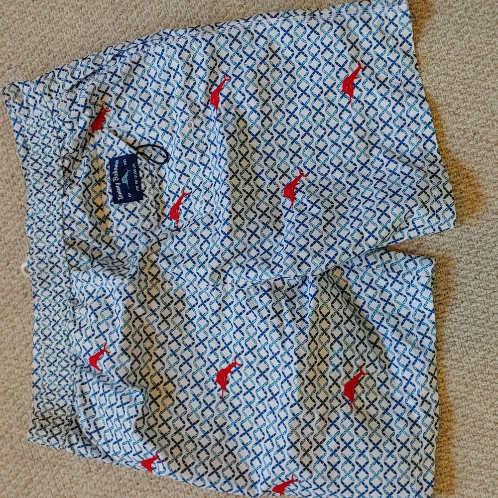 COPY - Tommy Bahama bathing suit